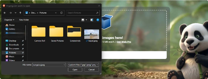 Aplikita Enterprise - Cara Kompres Gambar di TinyPNG2