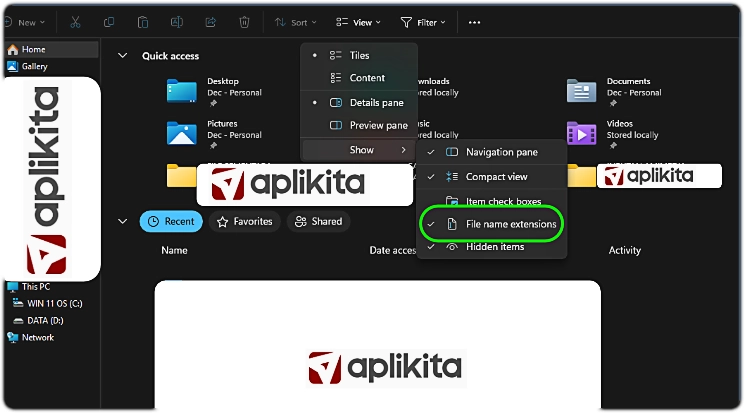 Aplikita Enterprise - Cara Menampilkan File Extension di Windows File