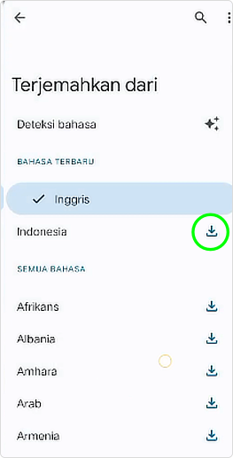 Aplikita Enterprise - Cara Download Bahasa Offline di Google Translate 2