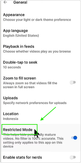 Aplikita Enterprise - Cara Mengaktifkan Restricted Mode Mode Terbatas di YouTube 3