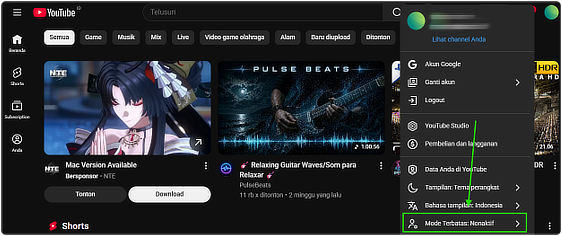 Aplikita Enterprise - Cara Mengaktifkan Restricted Mode Mode Terbatas di YouTube 4