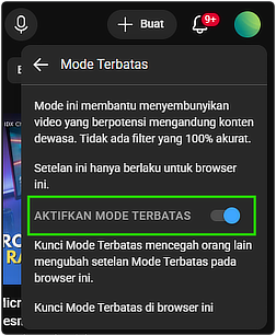 Aplikita Enterprise - Cara Mengaktifkan Restricted Mode Mode Terbatas di YouTube 5